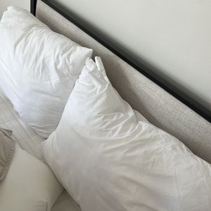Oversized king pillow inserts (2 total)